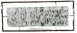 Artists/Images/ResizedSquare150/marie biesmans_image_recit sur une feuille de buvard.jpg